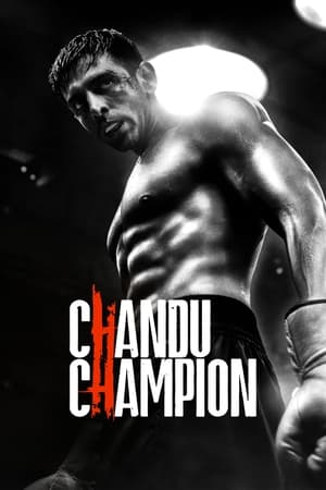 Chandu Champion 2024 Hindi – – 1080p