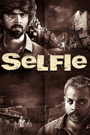 Selfie (2022) [Hindi + Tamil] – – 1080p